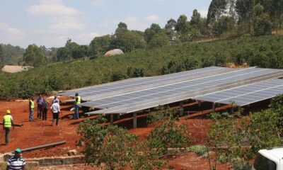 ケニアのバラ農園に設置されたソーラーパネル